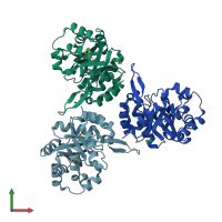 PDB entry 1yx1 coloured by chain, front view.