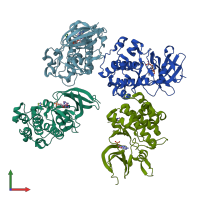 PDB entry 1yxu coloured by chain, front view.