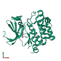 PDB entry 1yxv coloured by chain, front view.