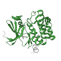 The deposited structure of PDB entry 1yxx contains 1 copy of Pfam domain PF00069 (Protein kinase domain) in Serine/threonine-protein kinase pim-1. Showing 1 copy in chain A.