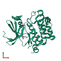 PDB entry 1yxx coloured by chain, front view.