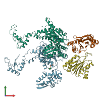 PDB entry 1yyf coloured by chain, front view.