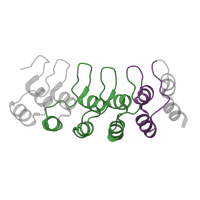 The deposited structure of PDB entry 1yyh contains 4 copies of Pfam domain PF12796 (Ankyrin repeats (3 copies)) in Notch 1 intracellular domain. Showing 2 copies in chain A.