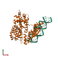 Hetero hexameric assembly 1 of PDB entry 1yyk coloured by chemically distinct molecules, front view.