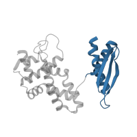 The deposited structure of PDB entry 1yyo contains 2 copies of CATH domain 3.30.160.20 (Double Stranded RNA Binding Domain) in Ribonuclease 3. Showing 1 copy in chain E [auth A].