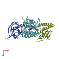 PDB entry 1yz1 coloured by chain, top view.