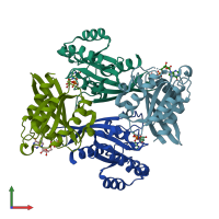 PDB entry 1z0a coloured by chain, front view.