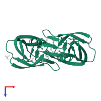 Protease in PDB entry 1z1r, assembly 1, top view.