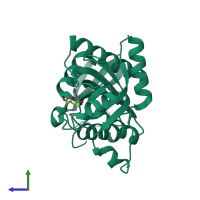 PDB entry 1z35 coloured by chain, side view.