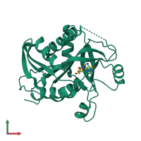 PDB entry 1z38 coloured by chain, front view.