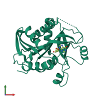 PDB entry 1z39 coloured by chain, front view.