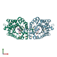 PDB entry 1z42 coloured by chain, front view.
