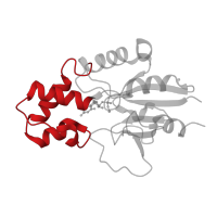 The deposited structure of PDB entry 1z4j contains 1 copy of CATH domain 1.10.40.40 (Ribonucleotide Reductase Protein R1; domain 1) in 5'(3')-deoxyribonucleotidase, mitochondrial. Showing 1 copy in chain A.