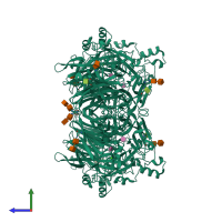 Homo tetrameric assembly 1 of PDB entry 1z4w coloured by chemically distinct molecules, side view.