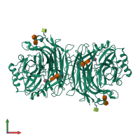 Homo dimeric assembly 2 of PDB entry 1z4w coloured by chemically distinct molecules, front view.