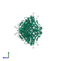 Hemagglutinin-neuraminidase in PDB entry 1z4w, assembly 2, side view.