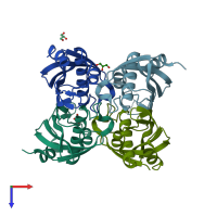 PDB entry 1z54 coloured by chain, top view.