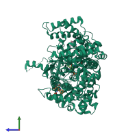 PDB entry 1z62 coloured by chain, side view.