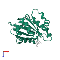 ADP-ribosylation factor 4 in PDB entry 1z6x, assembly 1, top view.