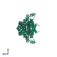 Homo dimeric assembly 2 of PDB entry 1z6z coloured by chemically distinct molecules, side view.