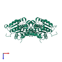 Sepiapterin reductase in PDB entry 1z6z, assembly 1, top view.