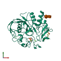 PDB entry 1z70 coloured by chain, front view.