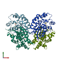 PDB entry 1z8h coloured by chain, front view.