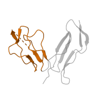 The deposited structure of PDB entry 1z92 contains 1 copy of CATH domain 2.20.28.230 (Rubrerythrin, domain 2) in Interleukin-2 receptor subunit alpha. Showing 1 copy in chain B.