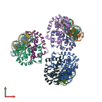 PDB entry 1z9c coloured by chain, front view.