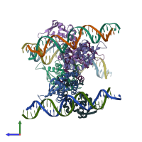 PDB entry 1z9c coloured by chain, side view.