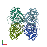 PDB entry 1zai coloured by chain, front view.