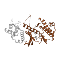 The deposited structure of PDB entry 1zar contains 1 copy of SCOP domain 111204 (RIO1-like kinases) in RIO-type serine/threonine-protein kinase Rio2. Showing 1 copy in chain A.