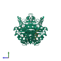 Homo dimeric assembly 1 of PDB entry 1zbq coloured by chemically distinct molecules, side view.