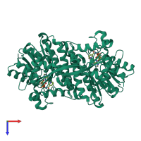 Homo dimeric assembly 1 of PDB entry 1zbq coloured by chemically distinct molecules, top view.