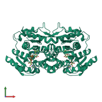 Homo dimeric assembly 2 of PDB entry 1zbq coloured by chemically distinct molecules, front view.