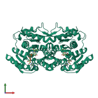 Homo dimeric assembly 3 of PDB entry 1zbq coloured by chemically distinct molecules, front view.