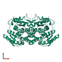 (3R)-hydroxyacyl-CoA dehydrogenase in PDB entry 1zbq, assembly 1, front view.