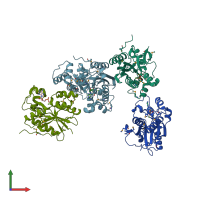 PDB entry 1zbu coloured by chain, front view.