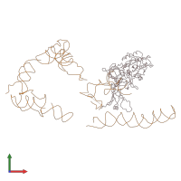 PDB entry 1zc8 coloured by chain, front view.