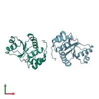 PDB entry 1zcl coloured by chain, front view.