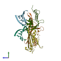 PDB entry 1zdh coloured by chain, side view.