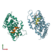 PDB entry 1zdt coloured by chain, front view.