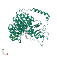 PDB entry 1zed coloured by chain, front view.
