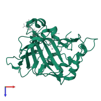 Carbonic anhydrase 2 in PDB entry 1zgf, assembly 1, top view.