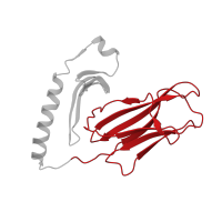 The deposited structure of PDB entry 1zgl contains 4 copies of CATH domain 2.60.40.10 (Immunoglobulin-like) in HLA class II histocompatibility antigen, DR alpha chain. Showing 1 copy in chain A.