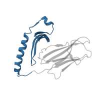 The deposited structure of PDB entry 1zgl contains 4 copies of CATH domain 3.10.320.10 (Class II Histocompatibility Antigen, M Beta Chain; Chain B, domain 1) in HLA class II histocompatibility antigen, DR alpha chain. Showing 1 copy in chain A.