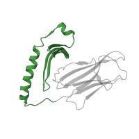 The deposited structure of PDB entry 1zgl contains 4 copies of Pfam domain PF00993 (Class II histocompatibility antigen, alpha domain) in HLA class II histocompatibility antigen, DR alpha chain. Showing 1 copy in chain A.