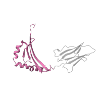 The deposited structure of PDB entry 1zgl contains 4 copies of CATH domain 3.10.320.10 (Class II Histocompatibility Antigen, M Beta Chain; Chain B, domain 1) in HLA class II histocompatibility antigen, DR beta 5 chain. Showing 1 copy in chain Q [auth K].