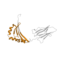 The deposited structure of PDB entry 1zgl contains 4 copies of Pfam domain PF00969 (Class II histocompatibility antigen, beta domain) in HLA class II histocompatibility antigen, DR beta 5 chain. Showing 1 copy in chain Q [auth K].