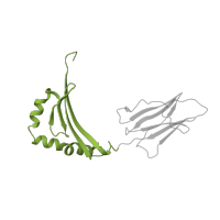 The deposited structure of PDB entry 1zgl contains 4 copies of SCOP domain 54453 (MHC antigen-recognition domain) in HLA class II histocompatibility antigen, DR beta 5 chain. Showing 1 copy in chain Q [auth K].